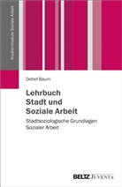 Detlef Baum - Lehrbuch Stadt und Soziale Arbeit