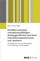 Marion Scherzinger - Konflikte zwischen verhaltensauffälligen Heimjugendlichen und ihren Interaktionspartnerinnen und -partnern
