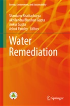 Shantanu Bhattacharya, Akhilendr Bhushan Gupta, Akhilendra Bhushan Gupta, Akhilendra Bhushan Gupta, Ankur Gupta, Ankur Gupta et al... - Water Remediation