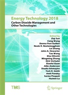 Allie Anderson, Xiaofei Guan, Donna Guillen, Donna Post Guillen, John Howarter, John A. Howarter... - Energy Technology 2018