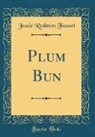 Jessie Redmon Fauset - Plum Bun (Classic Reprint)