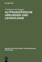 Christoph Josef Drüppel - Altfranzösische Urkunden und Lexikologie