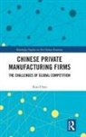 Chen, Xiao Chen, Xiao (Southwest Texas State University Chen - Chinese Private Manufacturing Firms