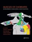 Virginia Abdala, Virginia (Instituto de Biodeiversidad Neotropical Abdala, Abdala Virginia, DIOGO, Rui Diogo, Rui (Howard University Diogo... - Muscles of Chordates