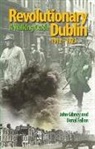 Donal Fallon, John Gibney, John Fallon Gibney - Revolutionary Dublin, 1912-1923