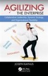 Joseph Raynus, Joseph (Sharedynamics Raynus, Raynus Joseph - Agilizing the Enterprise