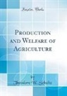 Theodore W. Schultz - Production and Welfare of Agriculture (Classic Reprint)
