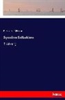 Björnstjerne Björnson - Synnöve Solbakken