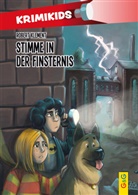 Robert Klement, Jan Bintakies - KrimiKids - Stimme in der Finsternis