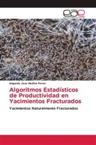 Edgardo Jose Medina Ferrer - Algoritmos Estadísticos de Productividad en Yacimientos Fracturados