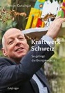 Anton Gunzinger - Kraftwerk Schweiz