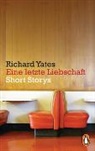 Richard Yates - Eine letzte Liebschaft