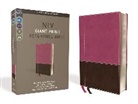 Zondervan, Zondervan, Zondervan Publishing House (COR) - Holy Bible