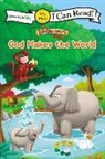 The Beginner's Bible, The Beginner's Bible, Zonderkidz, Zondervan, Zondervan Publishing House (COR) - The Beginner's Bible God Makes the World