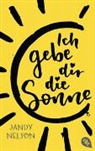 Jandy Nelson - Ich gebe dir die Sonne