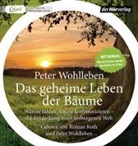 Peter Wohlleben, Roman Roth, Peter Wohlleben - Das geheime Leben der Bäume, 1 Audio-CD, 1 MP3 (Audio book)