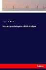 Sigmund Freud - Massenpsychologie und Ich-Analyse