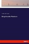 Ferdinand Raimund - Die gefesselte Phantasie