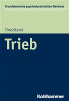 Timo Storck, Katharina Schmatolla, Tim Storck, Timo Storck - Trieb