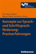 Michael Becker-Mrotzek, Sabrin Geyer, Sabrina Geyer, Marcus Hasselhorn, Anna Ropeter, Anna Ropeter u a... - Konzepte zur Sprach- und Schriftsprachförderung: Praxiserfahrungen