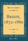 Hans von Bülow - Briefe, 1872-1880, Vol. 5 (Classic Reprint)