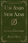 Francisco Eduardo Solano de Abreu - Um Anjo Sem Azas (Classic Reprint)