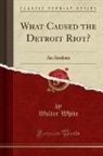 Walter White - What Caused the Detroit Riot?
