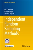 Davi Luengo, David Luengo, David Luengo García, Luc Martino, Luca Martino, Joaquin Miguez... - Independent Random Sampling Methods