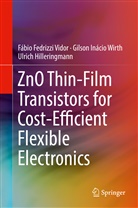 Hilleri, Ulrich Hilleringmann, Fábio Fedrizz Vidor, Fábio Fedrizzi Vidor, Gilson Ináci Wirth, Gilson Inácio Wirth - ZnO Thin-Film Transistors for Cost-Efficient Flexible Electronics