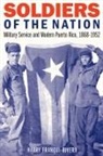 Harry Franqui-Rivera - Soldiers of the Nation