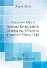 Gio. Batta Verany - Catalogo Degli Animali Invertebrati Marini del Golfo di Genova e Nizza, 1846 (Classic Reprint)