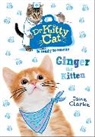 Jane Clarke - Dr Kittycat Is Ready to Rescue Ginger the Kitten