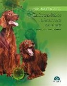 Rafael Ruiz de Gopegui i Fernández - Enfermedades infecciosas caninas