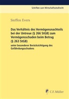 Steffen Evers - Das Verhältnis des Vermögensnachteils bei der Untreue ( 266 StGB) zum Vermögensschaden beim Betrug ( 263 StGB) unter besonderer Berücksichtigung des Gefährdungsschadens