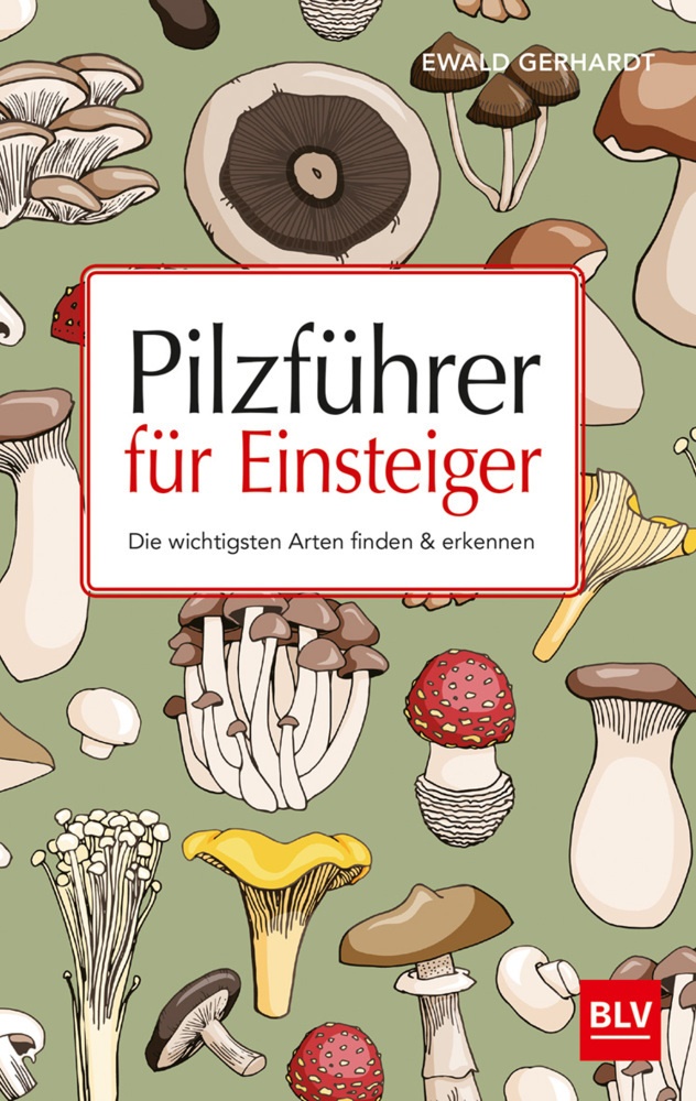 Ewald Gerhardt - Pilzführer für Einsteiger Die wichtigsten Arten finden & erkennen