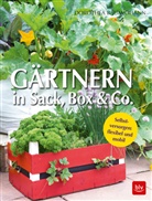 Dorothea Baumjohann - Gärtnern in Sack, Box & Co.