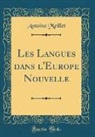 Antoine Meillet - Les Langues dans l'Europe Nouvelle (Classic Reprint)