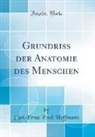 Carl Ernst Emil Hoffmann - Grundriss der Anatomie des Menschen (Classic Reprint)