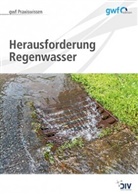 Hell Runge, Hella Runge, Christine Ziegler - gwf Praxiswissen: Herausforderung Regenwasser