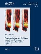 Martin Niemann - Buoyancy effects in turbulent liquid metal flow