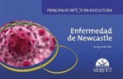 Kang-Seuk Choi - Principales retos en avicultura : enfermedad de Newcastle