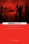 Naomi Schiller - Channeling the State