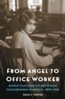 Susie S Porter, Susie S. Porter - From Angel to Office Worker