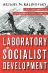 Artemy Kalinovsky, Artemy M Kalinovsky, Artemy M. Kalinovsky, Artemy M. (University of Amsterdam) Kalinovsky, Artemy/ Kalinovsky Kalinovsky - Laboratory of Socialist Development
