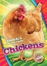 Kari Schuetz - Chickens