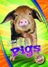 Christina Leighton - Pigs