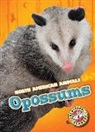 Betsy Rathburn - Opossums