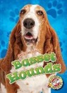 Paige V Polinsky, Paige V. Polinsky - Basset Hounds