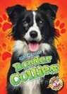 Rebecca Sabelko - Border Collies
