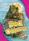 Nathan Sommer - Sea Otters